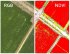 Квадрокоптер DJI Phantom 4 Multispectral + Мобильная станция D-RTK 2 High Precision GNSS в Оренбурге