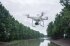 Сельскохозяйственный квадрокоптер DJI Phantom 4 мультиспектральный в Оренбурге