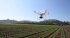 Сельскохозяйственный квадрокоптер DJI Phantom 4 мультиспектральный в Оренбурге
