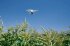 Сельскохозяйственный квадрокоптер DJI Phantom 4 мультиспектральный в Оренбурге